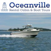 An Oceanville Cabin & Harbor Tours