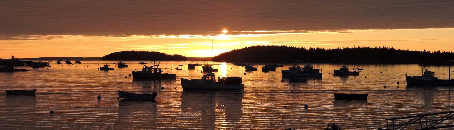 Sunset over the water Sunset over the water